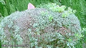 Little red riding hood gets her ass fucked by a pornstar wolf – MMM100